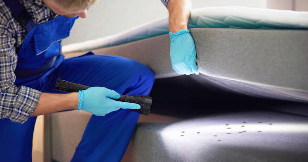 Best Affordable Pest Control Services  in La Porte, TX