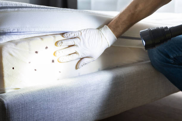 Best Best Pest Control Companies  in La Porte, TX